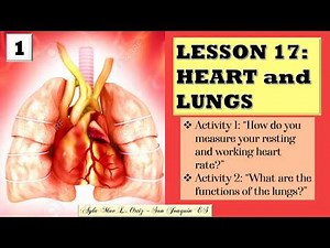 SCIENCE IV: Lesson 17: Heart and Lungs
