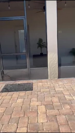 Professional Landscaping Services (In Process) Refresh your garden...