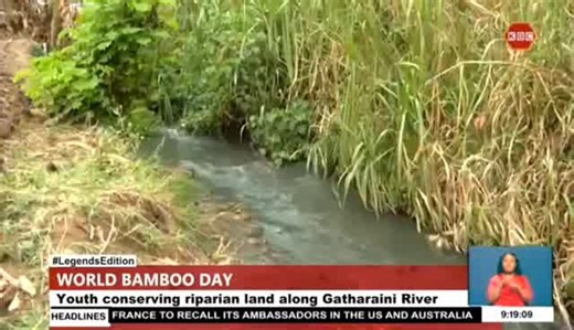 How we celebrated world Bamboo Day. #WorldBambooDay Mazingira Na Misitu Ministry of Environment & Forestry Greens of Africa Foundation SMALL AXE ENVIRONMENTAL YOUTH GROUP John King | Evelyn Kimathi