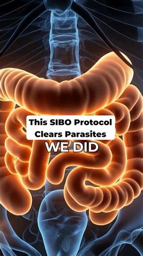 Biofilms, Parasites & Chronic Gut Symptoms