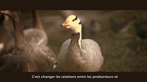 Le cours en ligne gratuit "MOOC sur la Coopération Agricole" de Agreenium est ouvert aux inscriptions ! 🐔🦆 Connaitre et comprendre les principes de la #coopération, l’organisation, le fonctionnement et la gouvernance des #coopératives #agricoles. 👇 https://www.fun-mooc.fr/fr/cours/mooc-de-la-cooperation-agricole/ | France Université Numérique