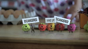 All we are saying, is give bees a chance. #WorldBeeDay | Greenpeace UK