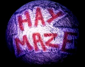 Hay Maze by Elliott Ridgway