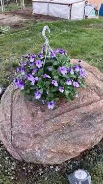 How to Make a Stone Planter by Yourself #cementcraft #ArtConcrete