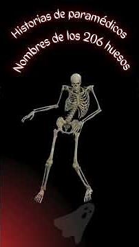 The Bone Rap: Learn about the skeletal system in an easy and entertaining way.