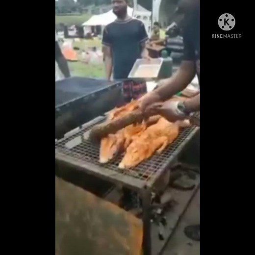 How to make Chinese Food, amazing video cooking snake and crocodile, beautiful cooking video