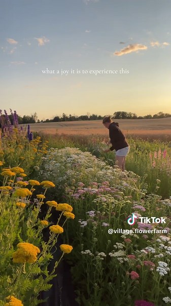 Embracing Joy in My Flower Garden