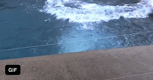 When I finish going down on my girlfriend - GIF