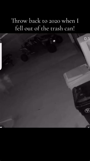 When Covid happened in 2020 my siblings and I played hide and seek all the time… I decided to hide in the recycle bin AND fell out HAHA🤣🤣#crashlanding #trashcan #oops