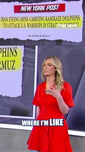 Iran considers deploying 'KAMIKAZE DOLPHINS': Report #shorts #us #news #foxnews