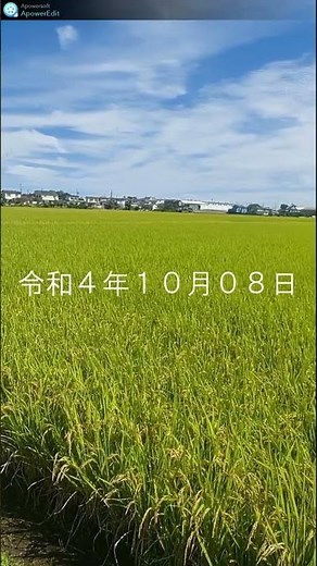 2022.10.08 (土) LGディスプレイの画面が点滅する原因が、電源不良と言われているので、ハードオフにて１９V電源を購入。交換の結果画面の点滅が解消した 。#shorts