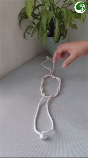🌿 DIY Pothos Hanging Planter Hack | Easy & Beautiful Indoor Plant Idea 🪴