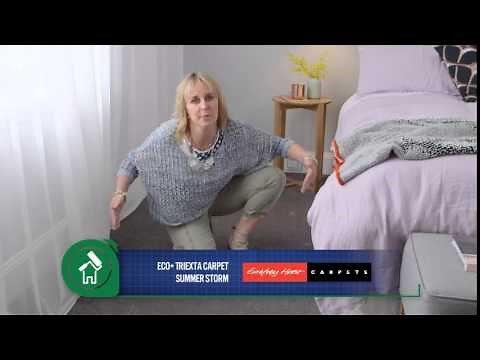 Choosing the right carpet colour - The Home Team