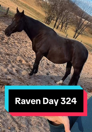 Raven's 324 Days Pregnant Journey Revealed
