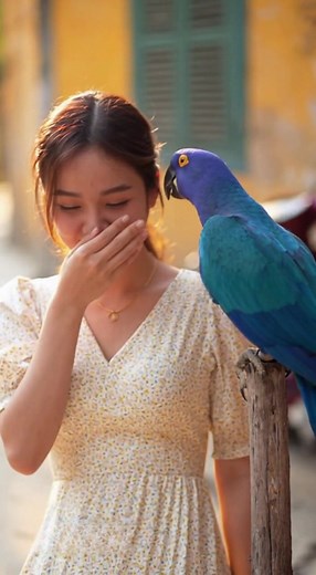 267K views · 3.2K reactions | Ae đã học được cách tán gái này chưa﫵 #ai #prompts #trend #funny #fyp #animal #funnyvideo #comedy #AI #aianimal #parrots | DIGI News | Facebook