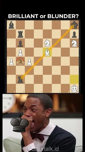 CHECKMATE or Big BLUNDER?🧐