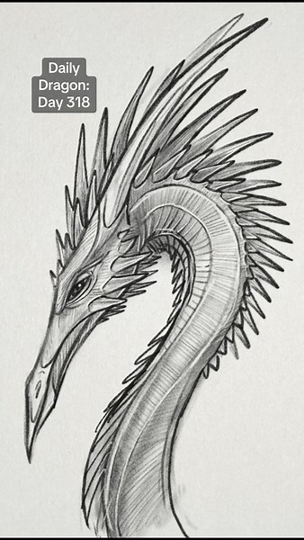 Sketching a Dragon Inspired by Nature