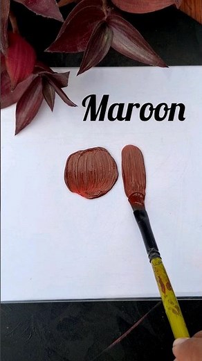 How to get maroon colour by acrylics | acrylic colour mixing for maroon #maroon #colour