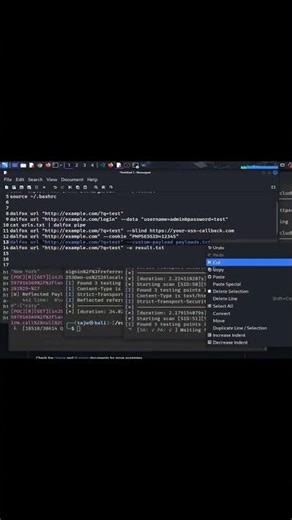 Advanced XSS Hunting with DalFox Find XSS Vulnerabilities Like a Pro part 8