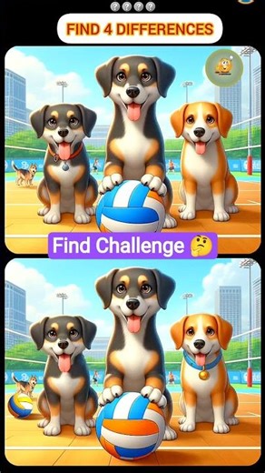 Quick Challenge - Dogs #shorts