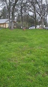 Sammie's Friends on Reels