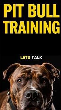 Pitbull Dog Training Explained by AI ✨ #pitbulltraining #pitbulldoglover #pitbullpuppy #pitties