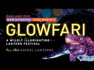 Glowfari at Oakland Zoo 2022/23