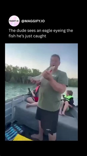 Maggify.io on Instagram: "The post shares a 48-second video of a fisherman on a boat in mangrove-lined waters tossing a large fish skyward, only for a bald eagle to intercept and fly off with it, capturing the man’s shocked laughter amid family onlookers. Uploaded on 31 December 2025 by @Brink_Thinker , a family-oriented account, the clip amassed over 1 million views and 15,000 likes within hours, fuelling replies with witty analogies to unexpected gifts or nature’s teamwork. Such eagle-fish the