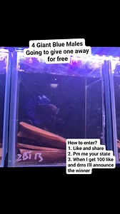 Comp time Who wants in? | Nano Tanks Australia