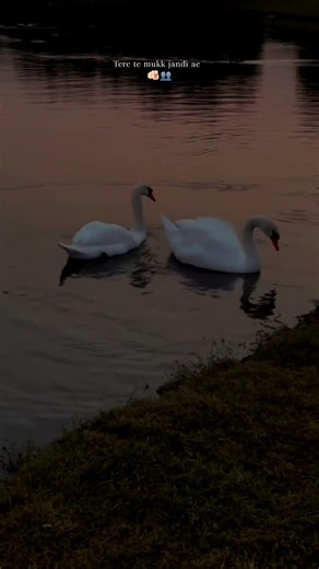 My world 🌎 || Harvi ||