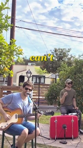 Where We Belong under the orange tree, part 2 #livemusic