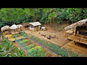 Full video: 360 Day of farm building, building life, farm life, Day 250