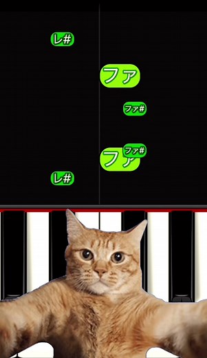Godzilla 弾き方 #エミネム #ピアノ初心者 #ピアノ簡単 #eminem #流行りのやつ #pianotutorial #pianoleason #godzillachallenge #ゴジラ #キャットセルフィー #タップチャレンジ