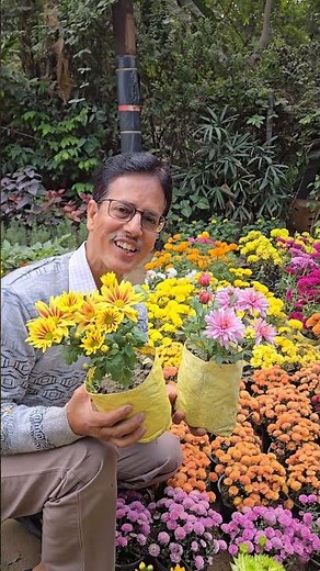 5 Best Flowering Plants For ❄️ 🪴#gardening #winter #viral #shorts