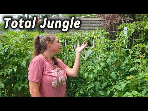 My Garden Turned Into a Jungle in 3 Weeks… (Garden Tour)