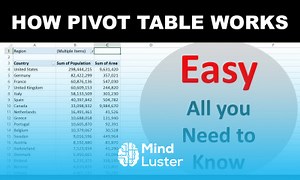 Mind Luster - Learn Using Pivot Tables to transform Large data into Beautiful Summaries Beginner Pivot table Tutorial