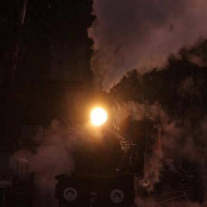 Join us in January for something a little different..... ☺️ Escape the summer sun and join us for an afternoon or early evening trek over the Swanbank Branch Line to the the Swanbank “Twilight Food Fair” 😃👩🏻‍🍳👨🏻‍🍳 Hop on the Picnic Train from Bundamba Racecourse Station to Swanbank Station. Once you arrive, a selection of food stalls on site allow you to mix, match and purchase your perfect meal to enjoy in either the relaxed surrounds of the Station (including our new Green Space) or dow