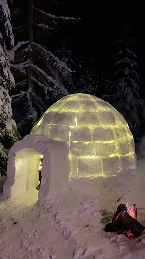 Experience the Magic of Igloos in Alaska with Northern Lights