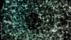 Exploding star particle animation 4K rgb plus alpha h263.mp4