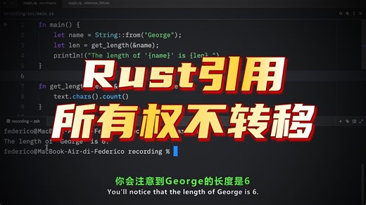 Rust 借用机制天花板！引用的本质  & 符号用法，看完再也不用愁所有权