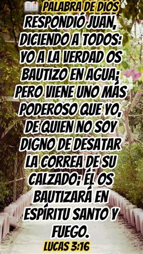 yo los bautizo con agua pero viene uno más poderoso que yo