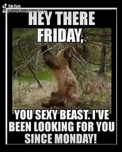 Funny thoughts and jokes. on Reels