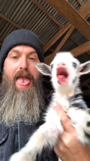 CORE_BEAST : Unit_Goat // Physics.exe has stopped working! 📂🐐 (ENTRY_XV)