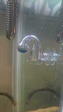 Co2 Drop Detector Review