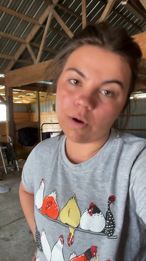 113K views · 3.6K reactions | The Shabby Tree on Reels | Facebook