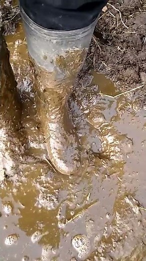 Rubber boots in liquid manure