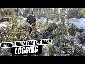 Clearing Land For Barn // Cutting Down Trees On Our Land // Falling Trees With Backhoe // Logging