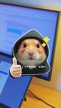 The truth about my life as a software engineer in the south? 👩🏽‍💻🏖️ #dayinmylife #productivity