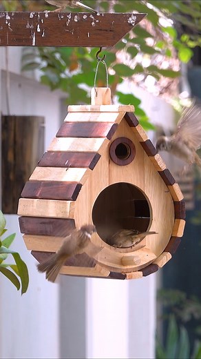 Adorable Birdhouse Making #diyer #birdhouse #birds #birdhousemaking #hacks | Woodworking Crafts