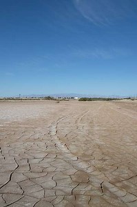 Desert Shores - Movie